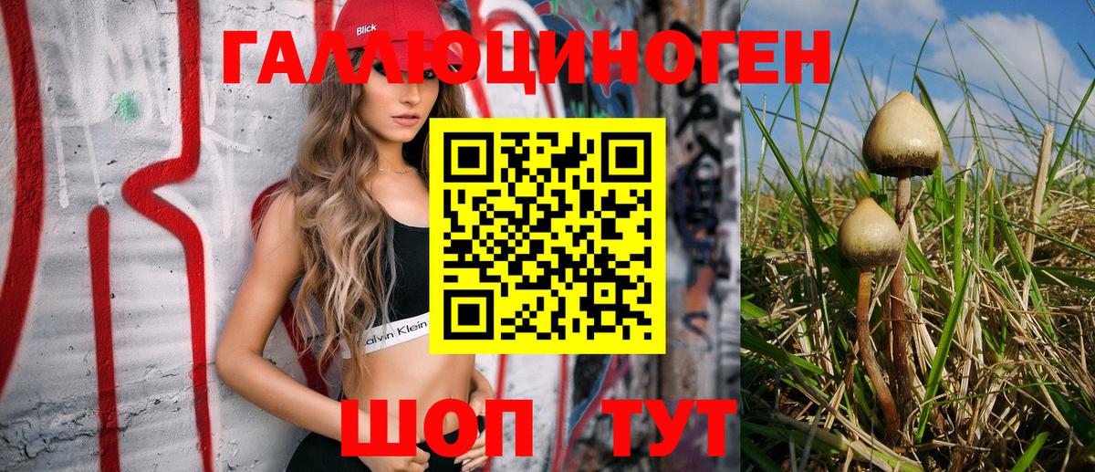 Углич  Галлюциногенные грибы MAGIC MUSHROOMS  Вход с VPN  Галлюциногенные грибы Psilocybe 