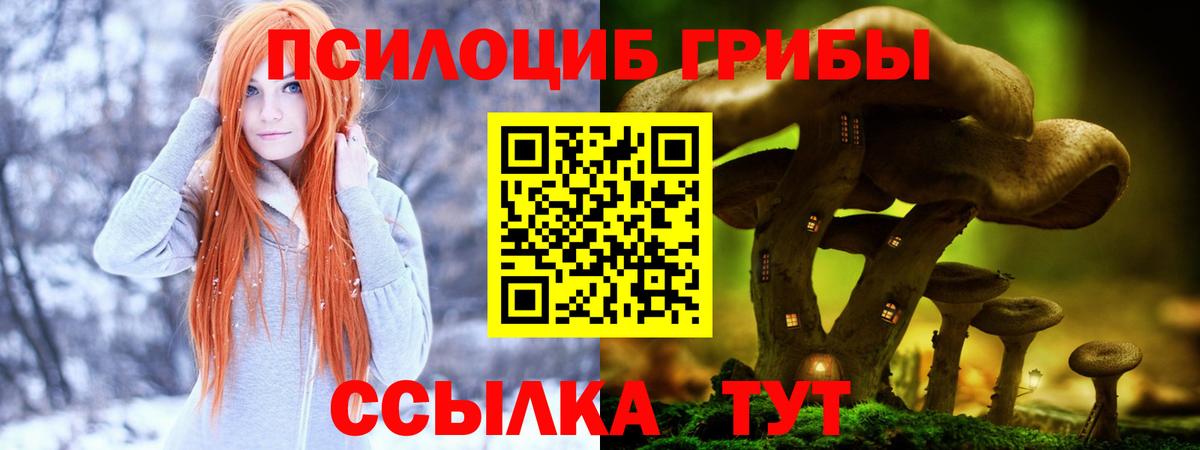 Галлюциногенные грибы MAGIC MUSHROOMS Углич